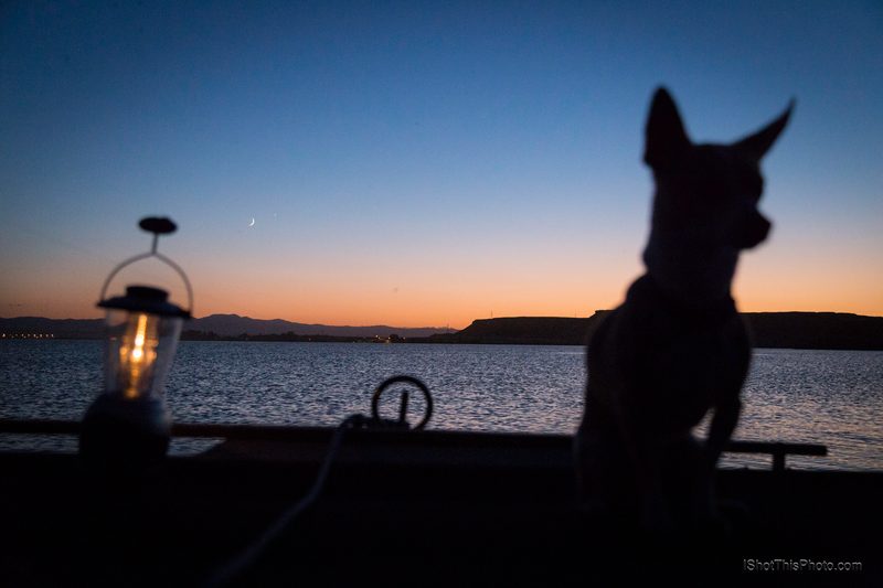 A dog's silhouette beside a glowing camp lantern at sunset over C.J. Strike Reservoir, Idaho