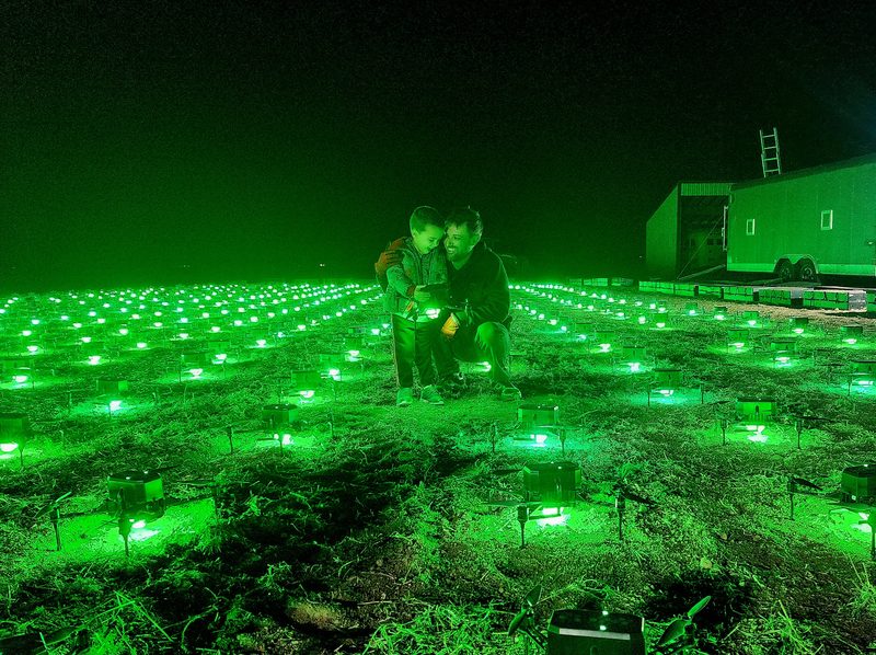 The drone show pilot crouching among hundreds of glowing green drones on a field at night