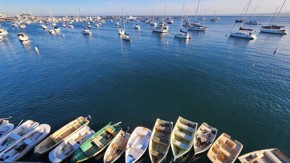 Rows of small boats on a dock above a harbor full of moored sailboats