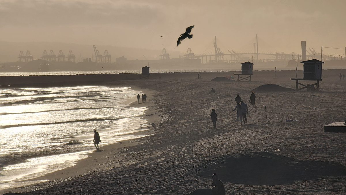 Beachgoers and a gull on a hazy Southern California beach