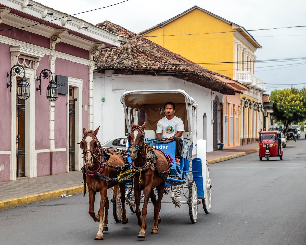 A driver steers a two-horse carriage down a street lined with pink and yellow colonial buildings.