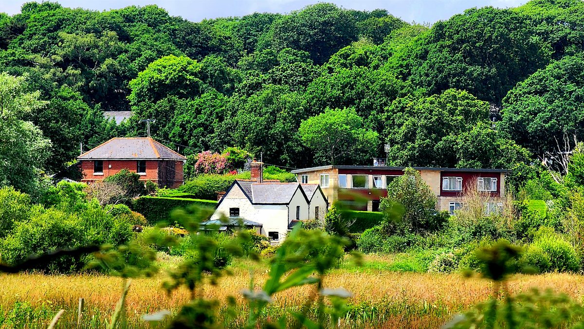 Red-roofed cottages tucked into green woodland and meadow on the Isle of Wight