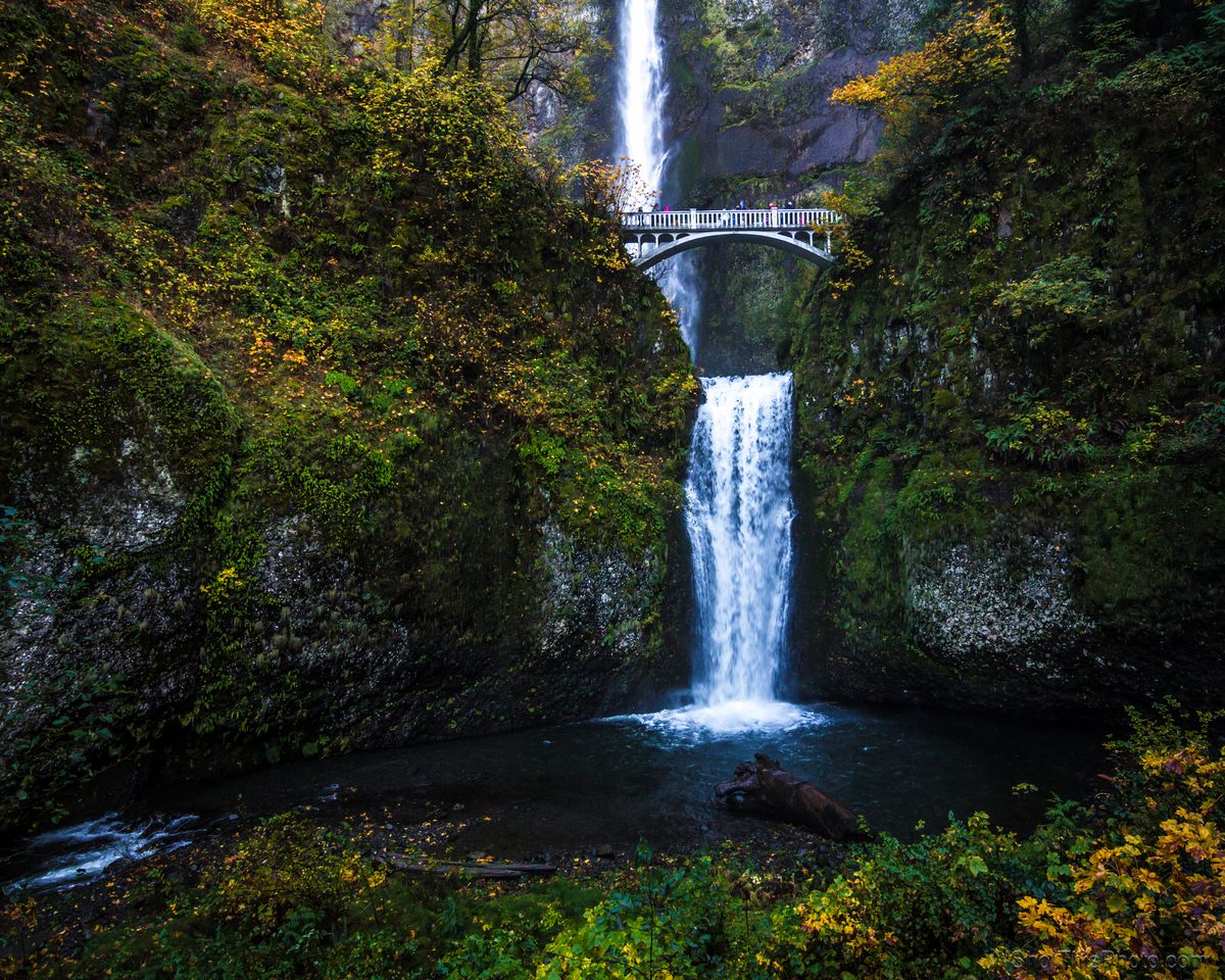 Two-tier Multnomah Falls drops past mossy cliffs, with the arched stone footbridge between tiers.