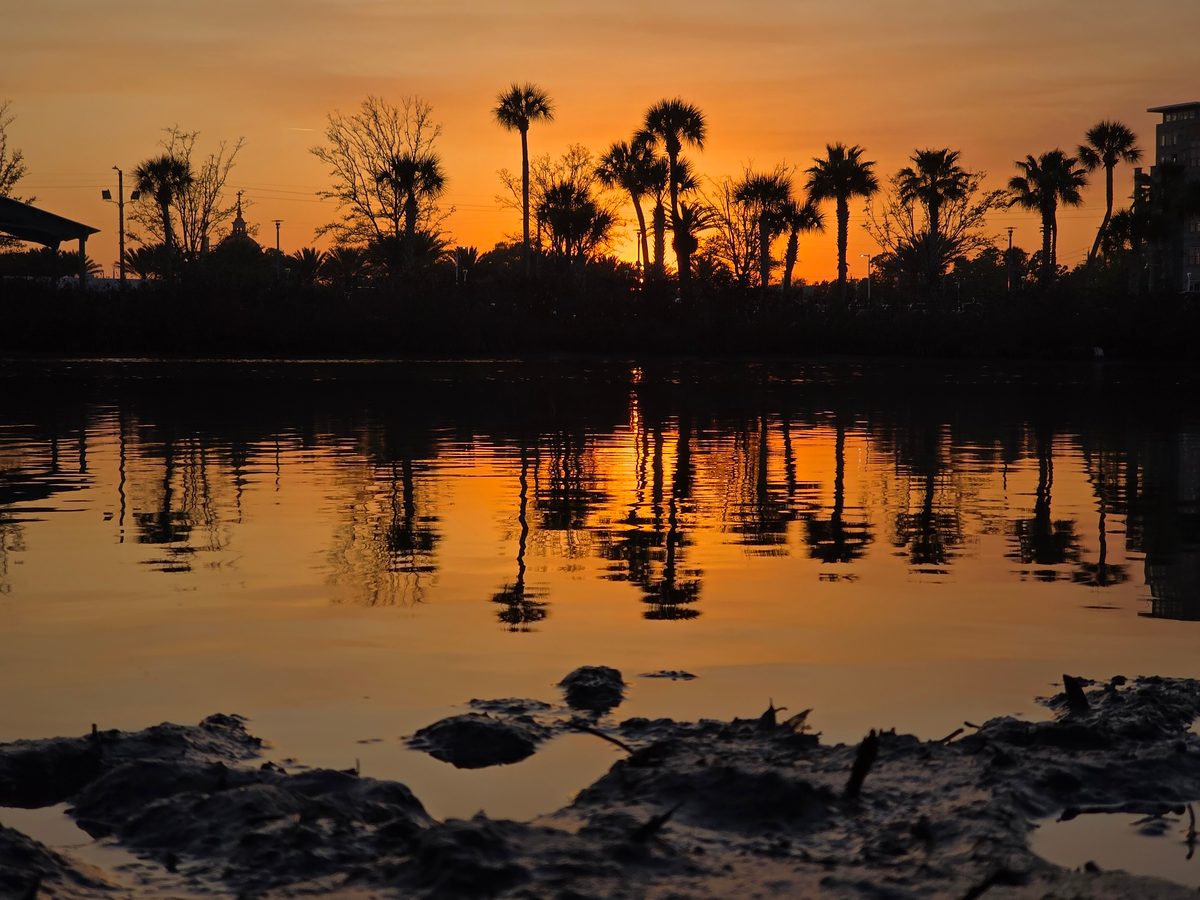Palm tree silhouettes reflected in still water under an orange sunset