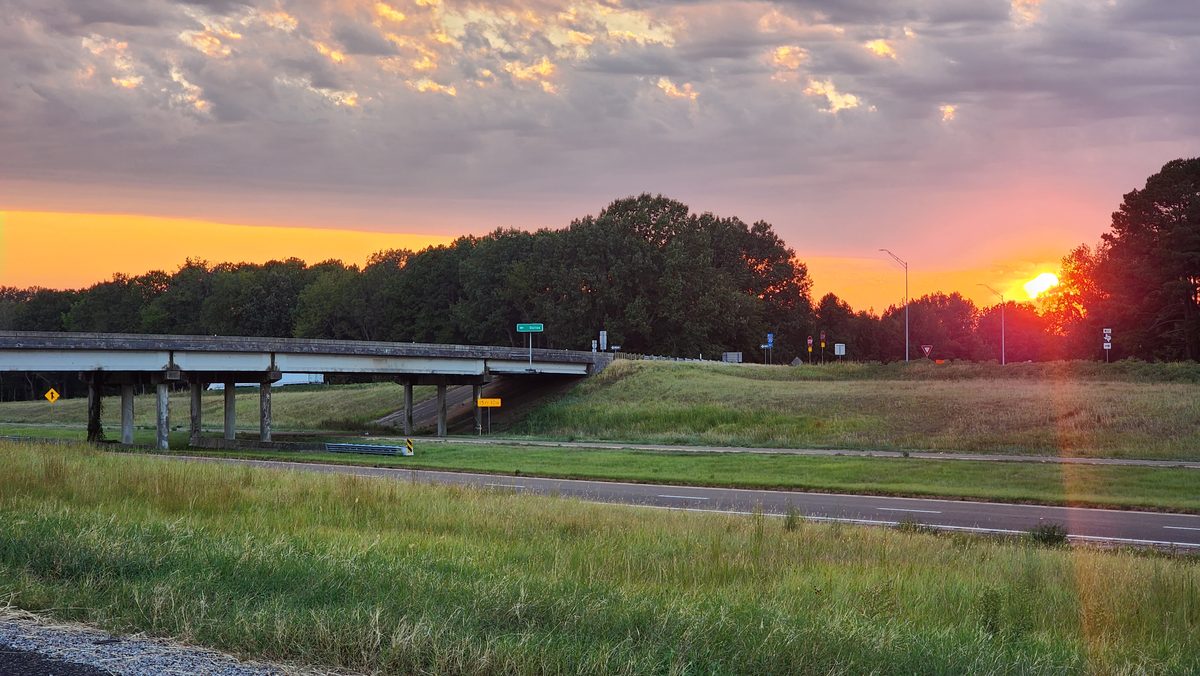 The sun setting behind trees over a grassy field and overpass