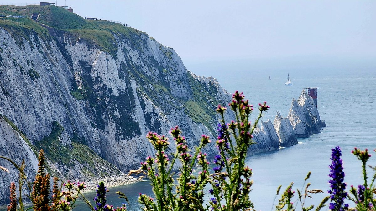 Wildflowers in the foreground with the white cliffs and The Needles behind