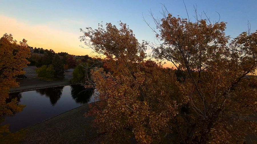 FPV drone skims frosty grass and empty park roads at dawn, weaving between red and orange autumn trees